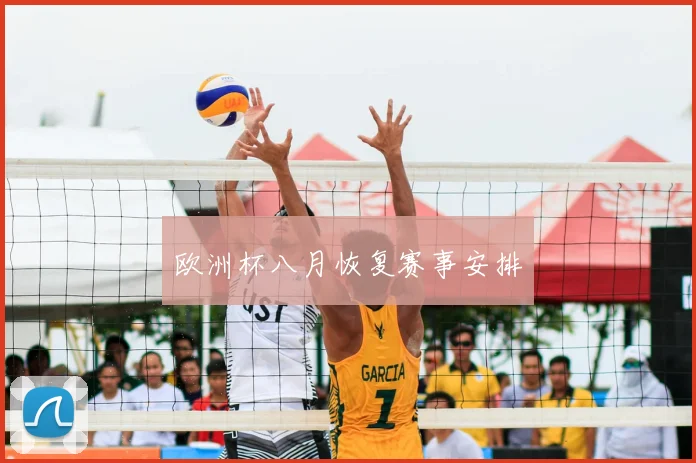 欧洲杯八月恢复赛事安排