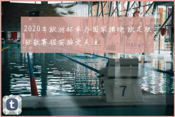 2020年欧洲杯举办国家揭晓 欧足联分散赛程安排受关注