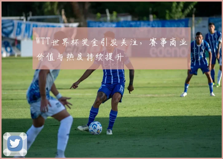 WTT世界杯奖金引发关注，赛事商业价值与热度持续提升