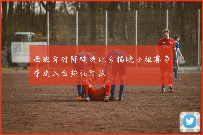 西班牙对阵瑞典比分揭晓小组赛争夺进入白热化阶段