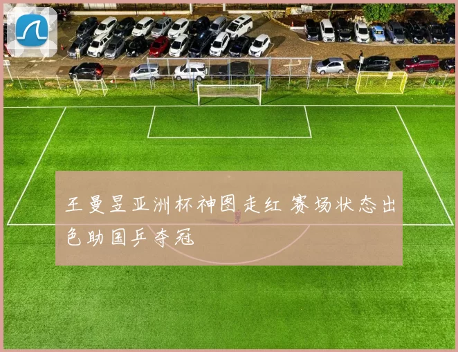 王曼昱亚洲杯神图走红 赛场状态出色助国乒夺冠